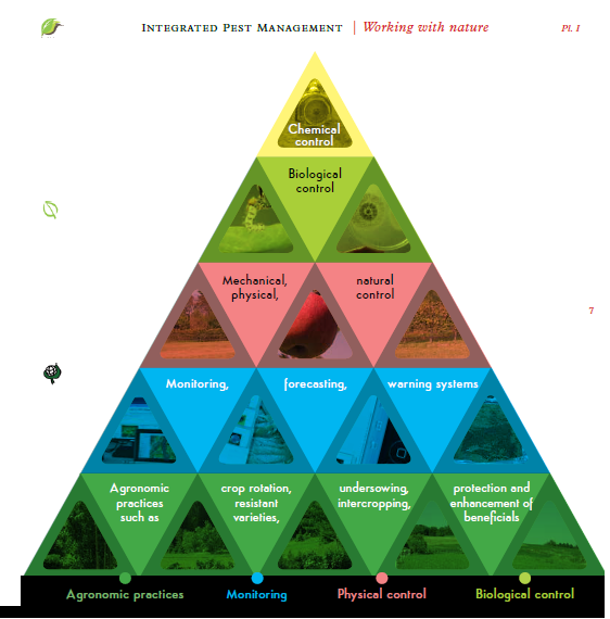 IBMA Value IBMAGLOBAL